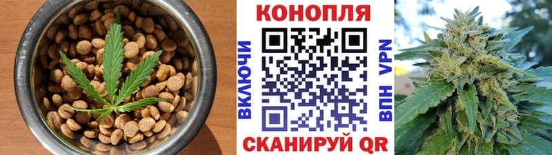где продают   дарк нет клад  Canna-Cookies конопля  Шацк 