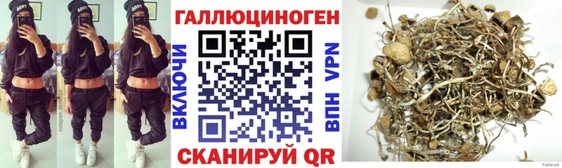 Галлюциногенные грибы Cubensis  Шацк 